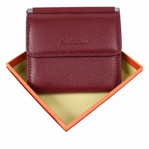 YS  Женский кошелек Albatross 2013